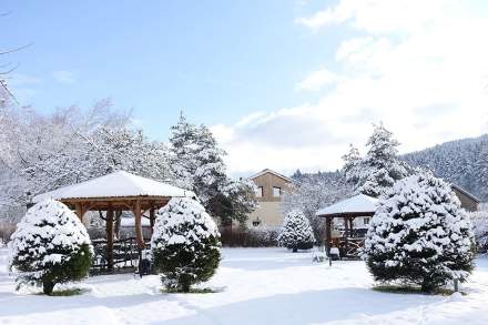 Le Domaine du Haut Jardin, hotel spa au coeur des vosges