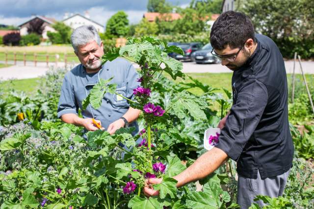 jardin restaurant gastronomique vosges