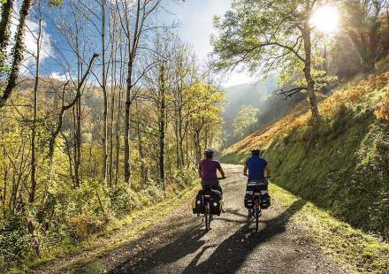 Electric mountain bikes in the Vosges